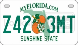 Z423MT license plate in Florida