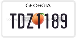 TDZ1189  license plate in GA