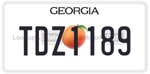 TDZ1189 license plate in Georgia