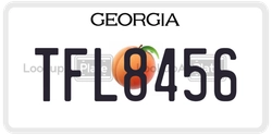 TFL8456  license plate in GA
