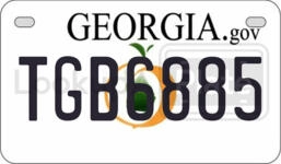 TGB6885 license plate in Georgia