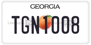 TGN1008 license plate in Georgia