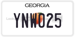 YNW025  license plate in GA