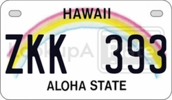 ZKK393  license plate in HI