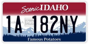 1A182NY license plate in Idaho