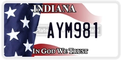AYM981  license plate in IN