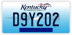 D9Y202  license plate in KY