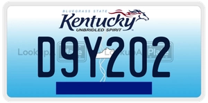 D9Y202 license plate in Kentucky