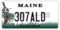307ALD  license plate in ME