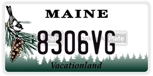 8306VG license plate in Maine