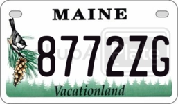 8772ZG license plate in Maine