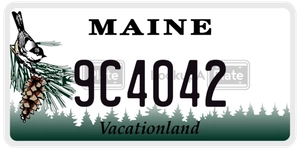 9C4042 license plate in Maine