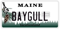BAYGULL  license plate in ME