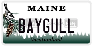 BAYGULL license plate in Maine
