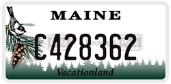 C428362  license plate in ME