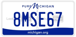 8MSE67 license plate in Michigan