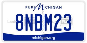 8NBM23 license plate in Michigan