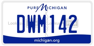 DWM142 license plate in Michigan