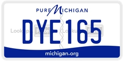 DYE165  license plate in MI