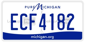 ECF4182 license plate in Michigan