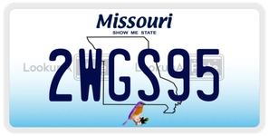 2WGS95 license plate in Missouri
