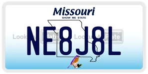 NE8J8L license plate in Missouri