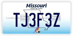 TJ3F3Z license plate in Missouri