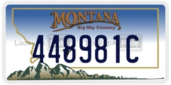 448981C  license plate in MT