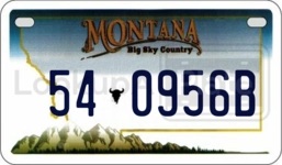 540956B license plate in Montana
