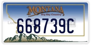 668739C license plate in Montana