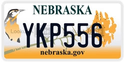 YKP556  license plate in NE