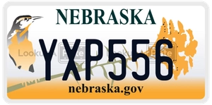 YXP556 license plate in Nebraska
