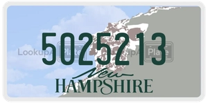 5025213 license plate in New Hampshire
