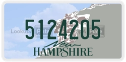 5124205  license plate in NH