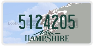 5124205 license plate in New Hampshire