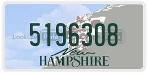 5196308 license plate in New Hampshire