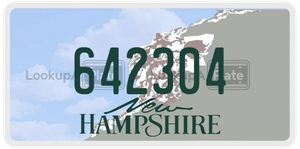 642304 license plate in New Hampshire