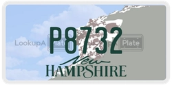 P8732  license plate in NH