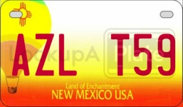 AZLT59 license plate in New Mexico