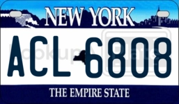 ACL6808 license plate in New York