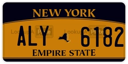 ALY6182  license plate in NY