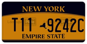 T119242C license plate in New York