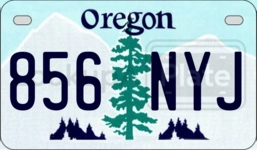 856NYJ license plate in Oregon