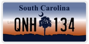 QNH134 license plate in South Carolina