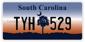 TYH529 license plate in South Carolina