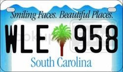 WLE958  license plate in SC