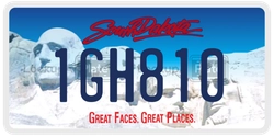 1GH810  license plate in SD