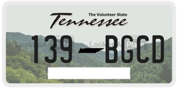 139BGCD  license plate in TN