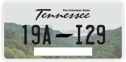 19AI29  license plate in TN