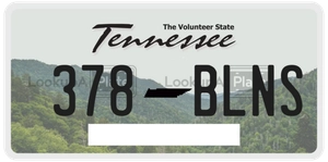 378BLNS license plate in Tennessee